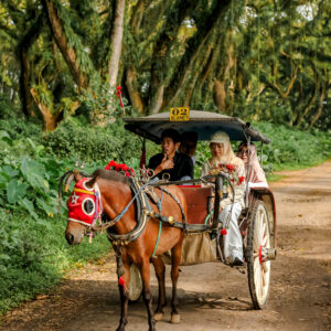 Private Trip Djawatan & Pulau Merah