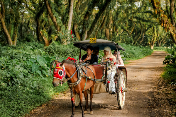 Private Trip Djawatan & Pulau Merah